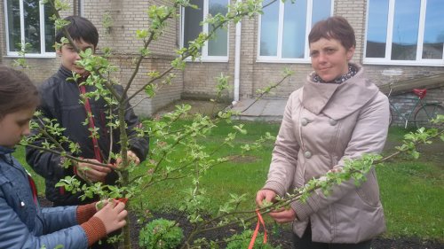 Акцыя – “ Кветкі Перамогі”