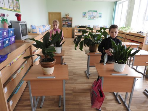 Акция "Чистый двор"