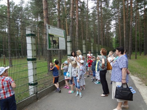 Путешествие в поместье БЕЛОРУССКОГО ДЕДА МОРОЗА