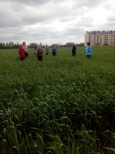 День 2.