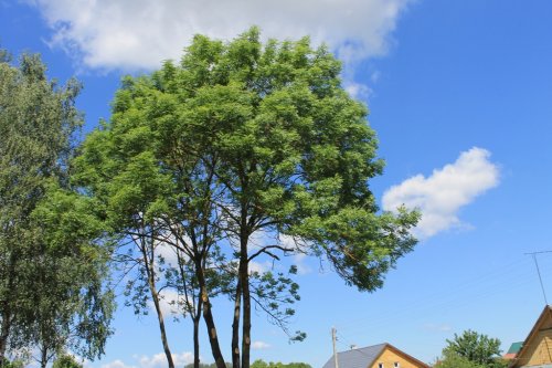 День 18. Работы конкурса фотоснимков "Моя малая Родина"