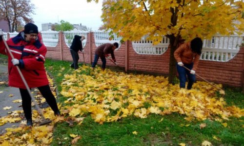 Акция «Мой уютный чистый двор»