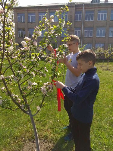 Патриотическая акция "Мы помним"