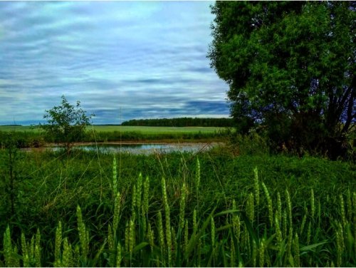 2-ой трудовой день. Конкурс фотографий "Моя малая Родина"