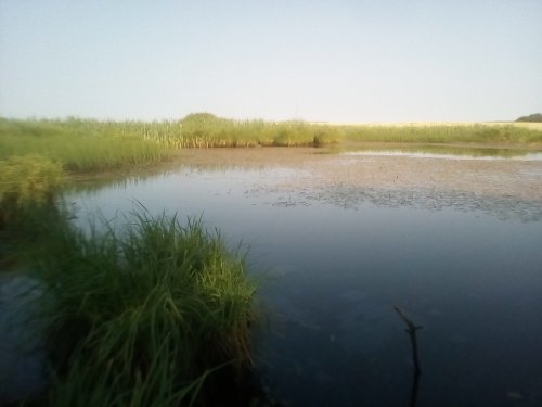 11-ый день в лагере труда и отдыха "Семь ветров". Экскурсия "Водоемы Свислочского района"