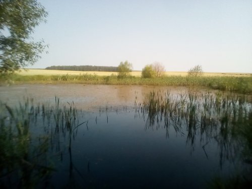 11-ый день в лагере труда и отдыха "Семь ветров". Экскурсия "Водоемы Свислочского района"