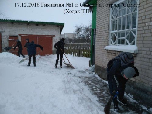 Волонтёрское движение