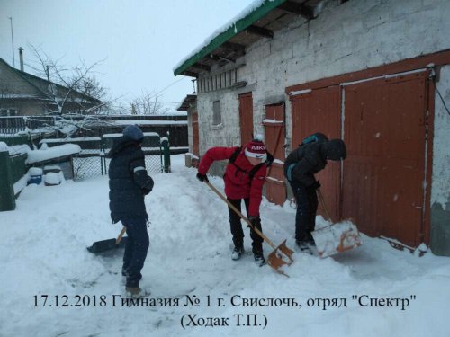 Волонтёрское движение