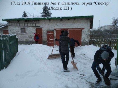 Волонтёрское движение