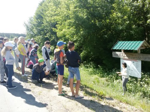 Лагерь "ПАТРИОТ". День 3. Экскурсионный поход по местам Тышкевича в д.Вердомичи