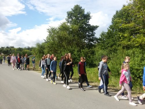 Лагерь "ПАТРИОТ". День 5. Экскурсии на ферму и амбулаторию д.Вердомичи