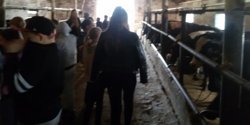 Лагерь "ПАТРИОТ". День 5. Экскурсии на ферму и амбулаторию д.Вердомичи