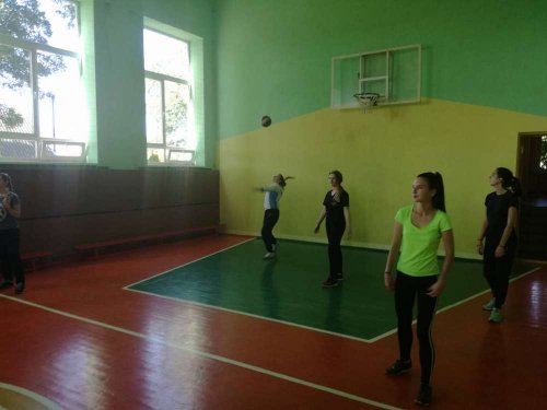 Соревнования по волейболу. Неделя спорта и здоровья