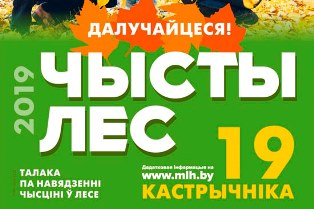 Акция «Чистый лес» пройдет в Беларуси 19 октября