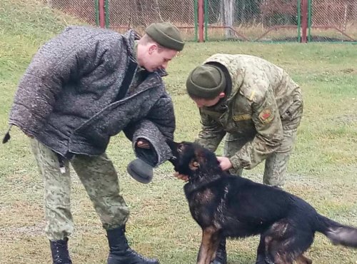 До свидания, лагерь!