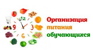 Организация питания Организация питания