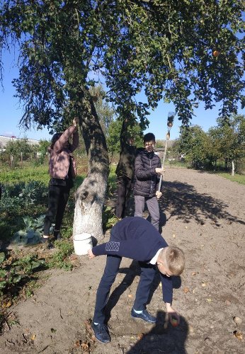 Волонтёрская акция "Золотой возраст"