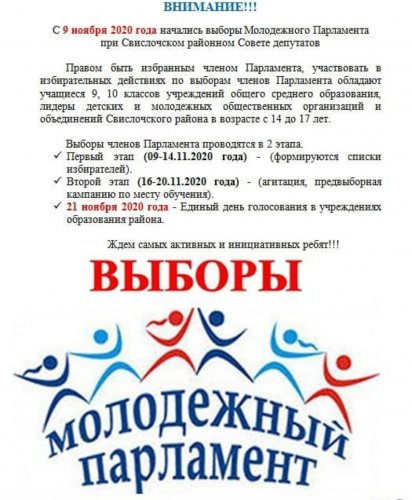 Выборы Молодежного Парламента