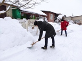 Волонтёрская акция «Уберём снег вместе»