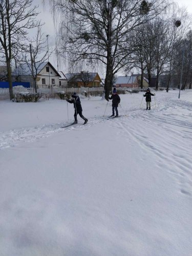 Лыжная подготовка «Строптивая лыжня»