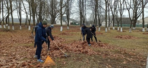 Трудовая акция по благоустройству города