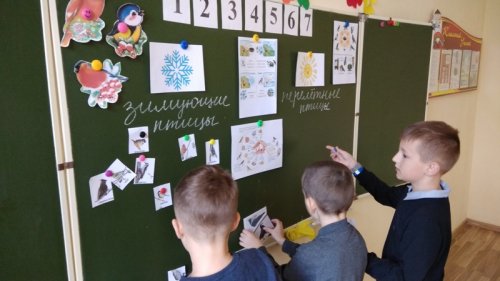 Час игры «Што гэта за птушка?»