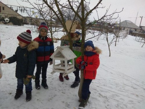 Прогулка «Даже если холодно, пернатым не голодно»