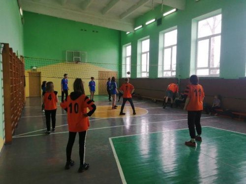 Дружеская встреча по волейболу