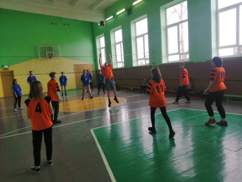 Дружеская встреча по волейболу