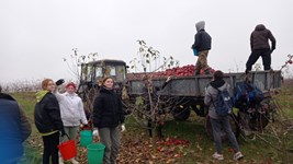 РЕСПУБЛИКАНСКАЯ АКЦИЯ "Сад Надежды"