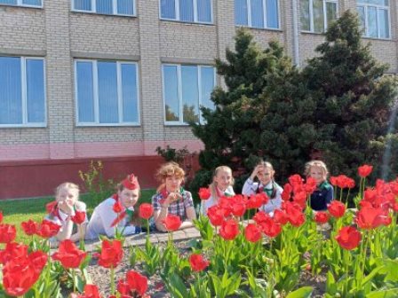 Проект "Сад Победы"