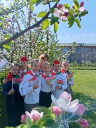 Проект "Сад Победы"