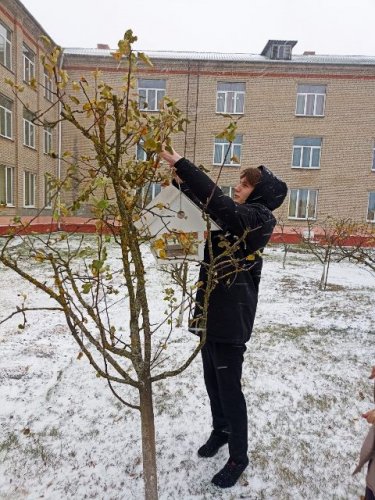 Экологическая акция "Реальное дело"